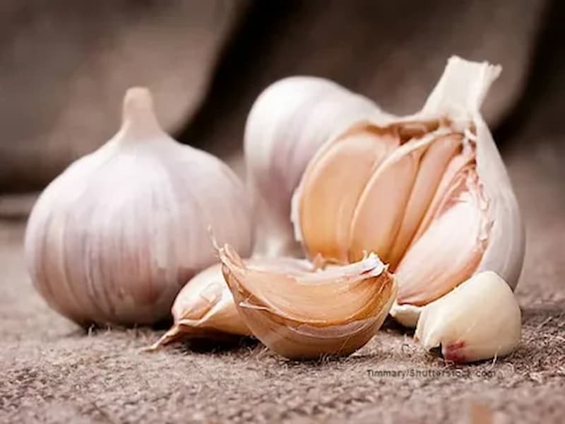 تصویر 2 از سیر خراسان بنفش طعمی قوی و رایحه ای تند و تیز